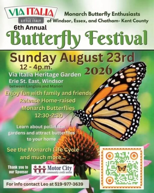 🦋 The Butterfly Festival is returning to Via Italia! 🌸
Join the Monarch Butterfly Enthusiasts of Windsor, Essex & Chatham-Kent County for their 6th Annual Butterfly Festival at the Via Italia Heritage Garden.
📅 Sunday, August 23
⏰ 12:00–4:00 PM
📍 Via Italia Heritage Garden — Erie St. E., between Langlois & Marion
Bring the family and spend the afternoon learning about monarch butterflies, pollinator gardens, and how you can help attract butterflies to your own backyard. 🌿
🦋 Home-raised Monarch butterfly releases will take place from 12:30–2:30 PM, plus you’ll have a chance to explore the Monarch life cycle and learn more about these incredible pollinators.
Come enjoy a beautiful summer afternoon in the heart of Via Italia! 🇮🇹🌼
For more information, contact Leo at 519-977-3639.
#ViaItalia #ViaItaliaWindsor #WindsorOntario #YQG #ButterflyFestival MonarchButterfly Monarchs PollinatorGarden ErieStreet WindsorEvents YQGEvents LittleItalyWindsor FamilyFun